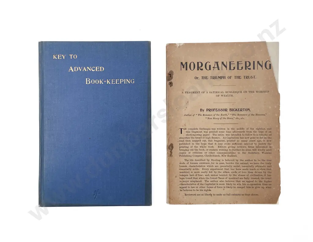 Bickerton, Professor - Morganeering, or, the Triumph of the Trust Image 1++