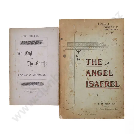 Two N.Z. Novels
