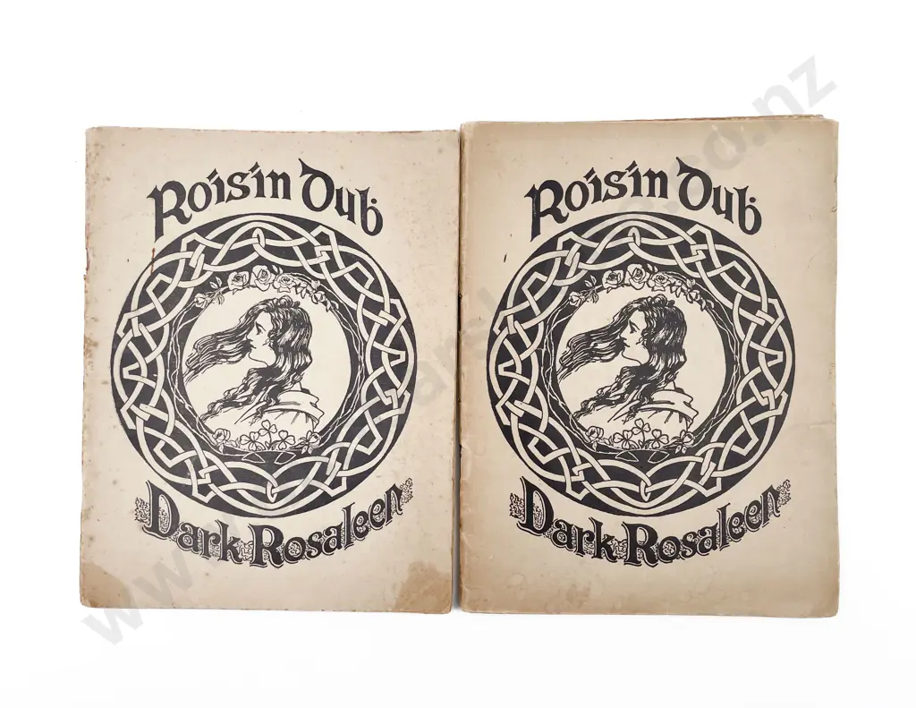 Roisin Dub / Dark Rosaleen (2) Image 1++