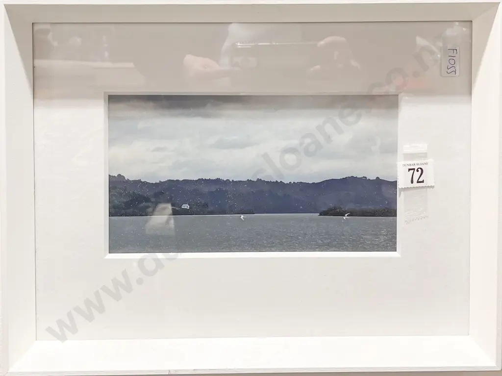 Framed Scenic Photograph Image 1++