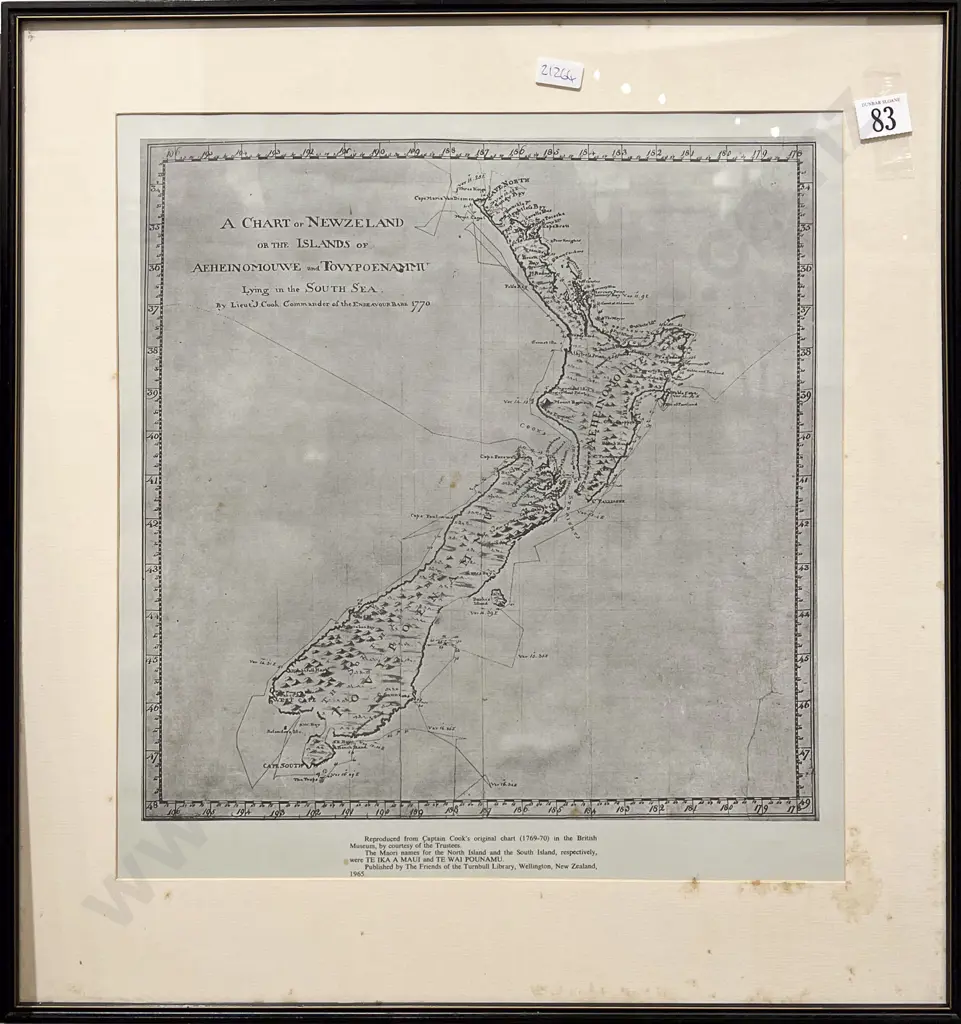 Reproduction Map of NZ Image 1++
