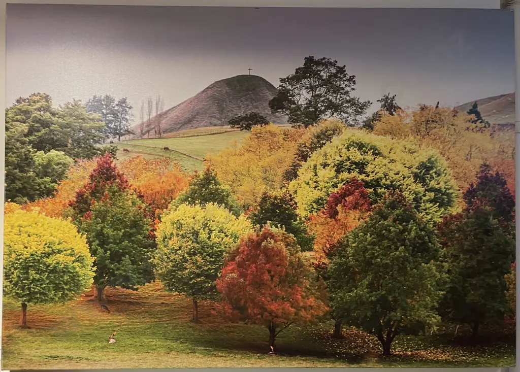 Digital Print on Canvas - Rural Taihape Image 1++
