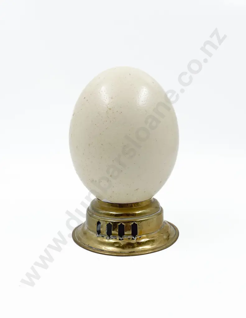 Ostrich Egg Image 1++