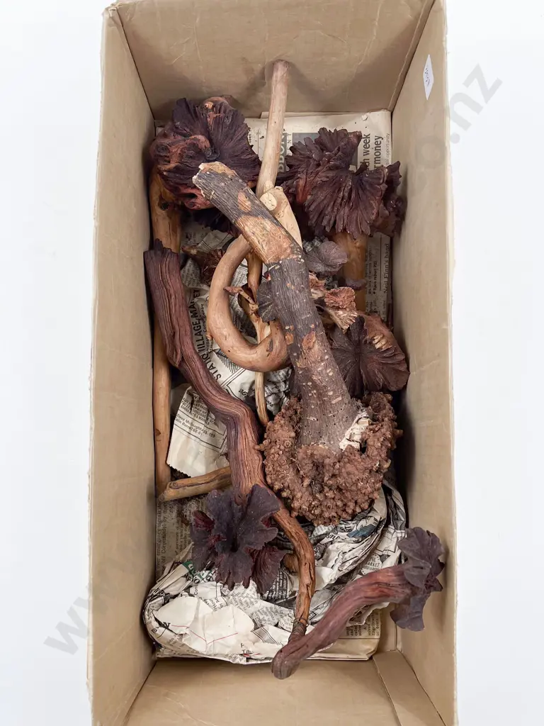 Quantity of Assorted Wood Stem Burrs Image 1++