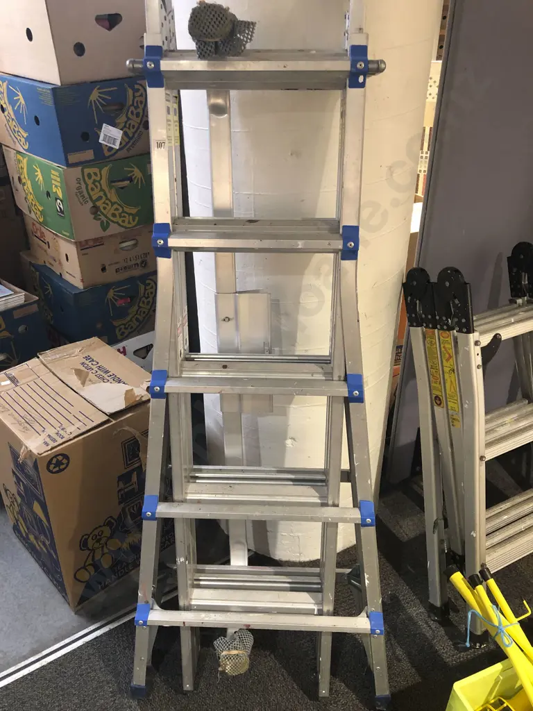 The Transforma Ladder with Others Image 1++