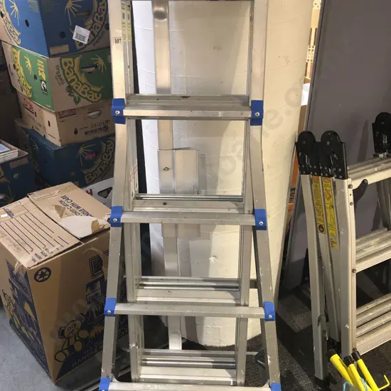 The Transforma Ladder with Others