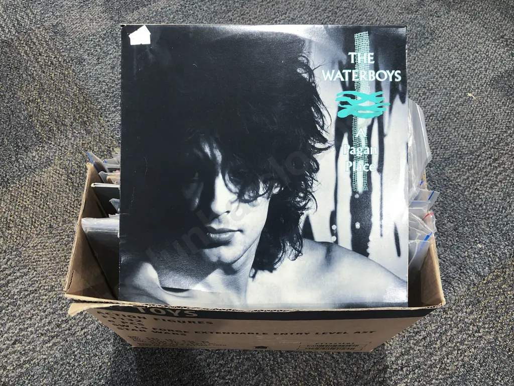 Box of Assorted Vinyl Records Image 1++