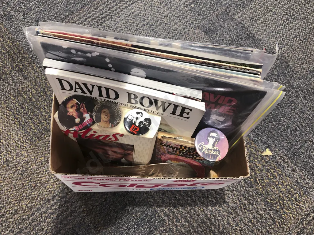 Quantity of Assorted David Bowie Records and Books Togethers with Others Image 1++