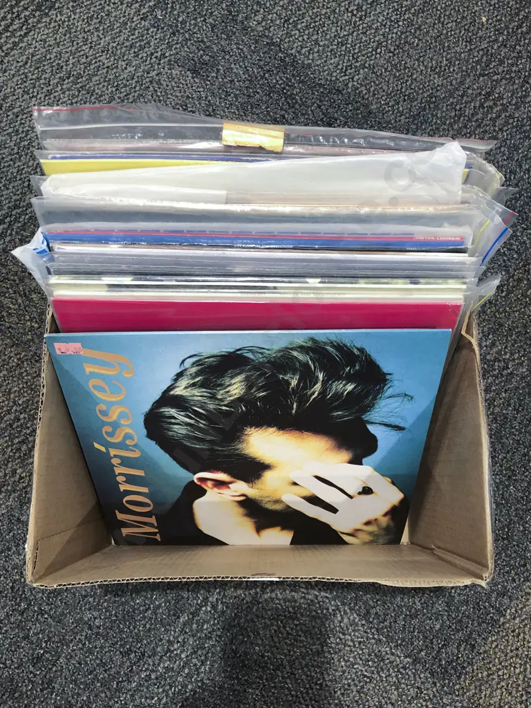 Quantity of Assorted Morrissey and The Smiths Vinyl Records Image 1++