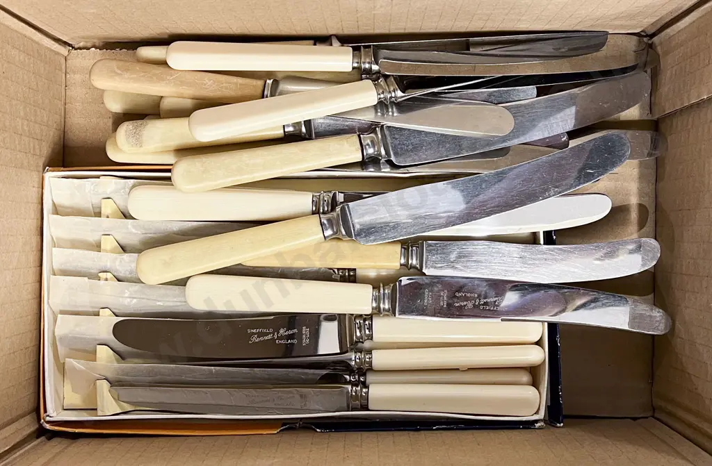 Box of Assorted Bone Handled Knives etc Image 1++