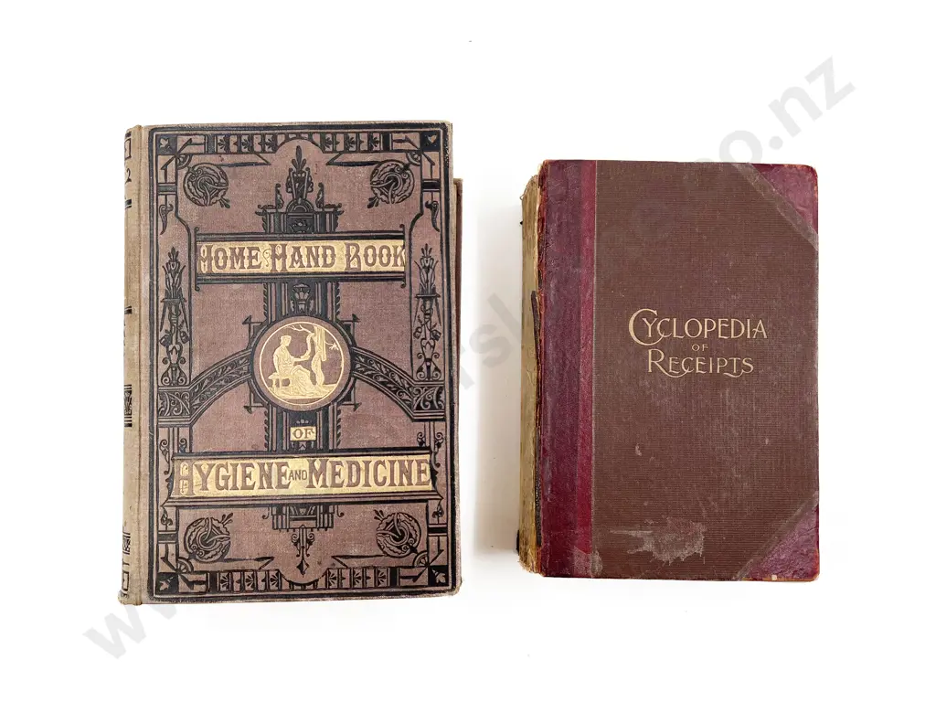 Home Hand Book of Hygiene and Medicine Together with Cyclopedia of Receipts Image 1++