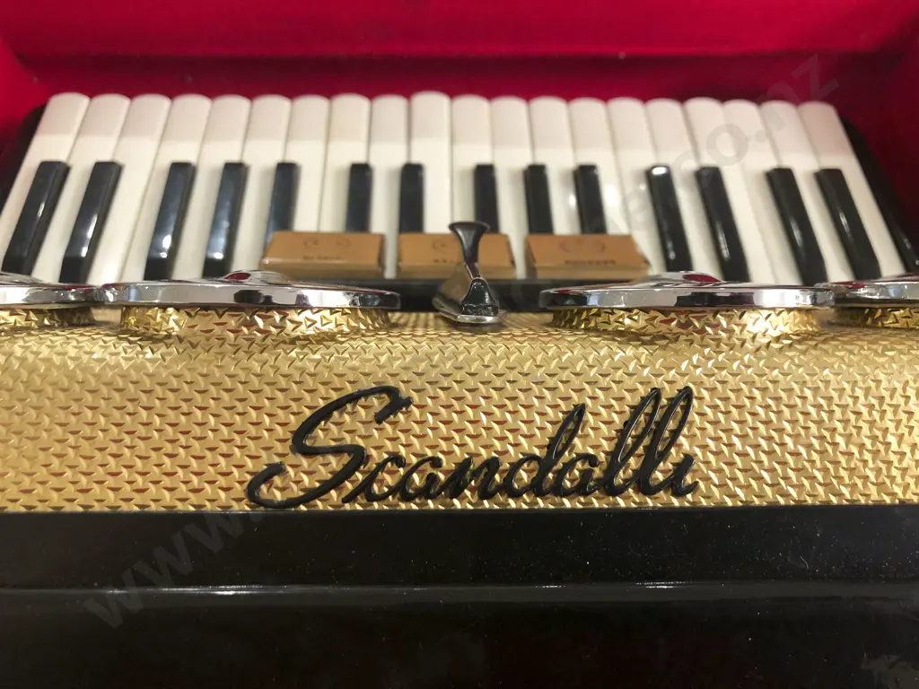 Cased Piano Accordion Image 1++