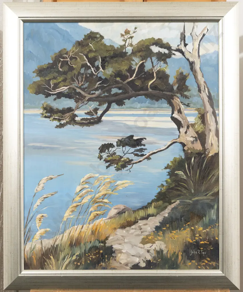 John R Fijn - Coastal Landscape Image 1++