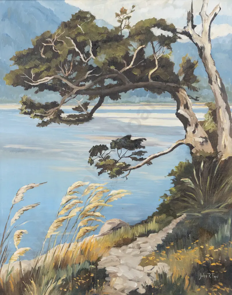 John R Fijn - Coastal Landscape Image 1++