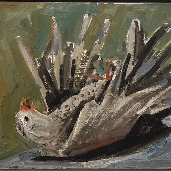 Unknown Artist - Bird Study