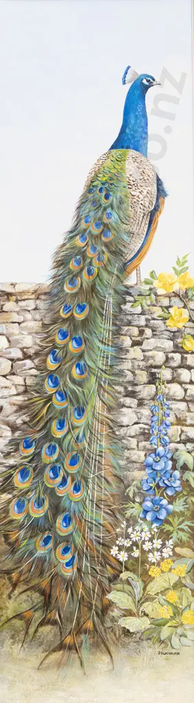 Jeanette Blackburn (b 1940) - Peacock Image 1++