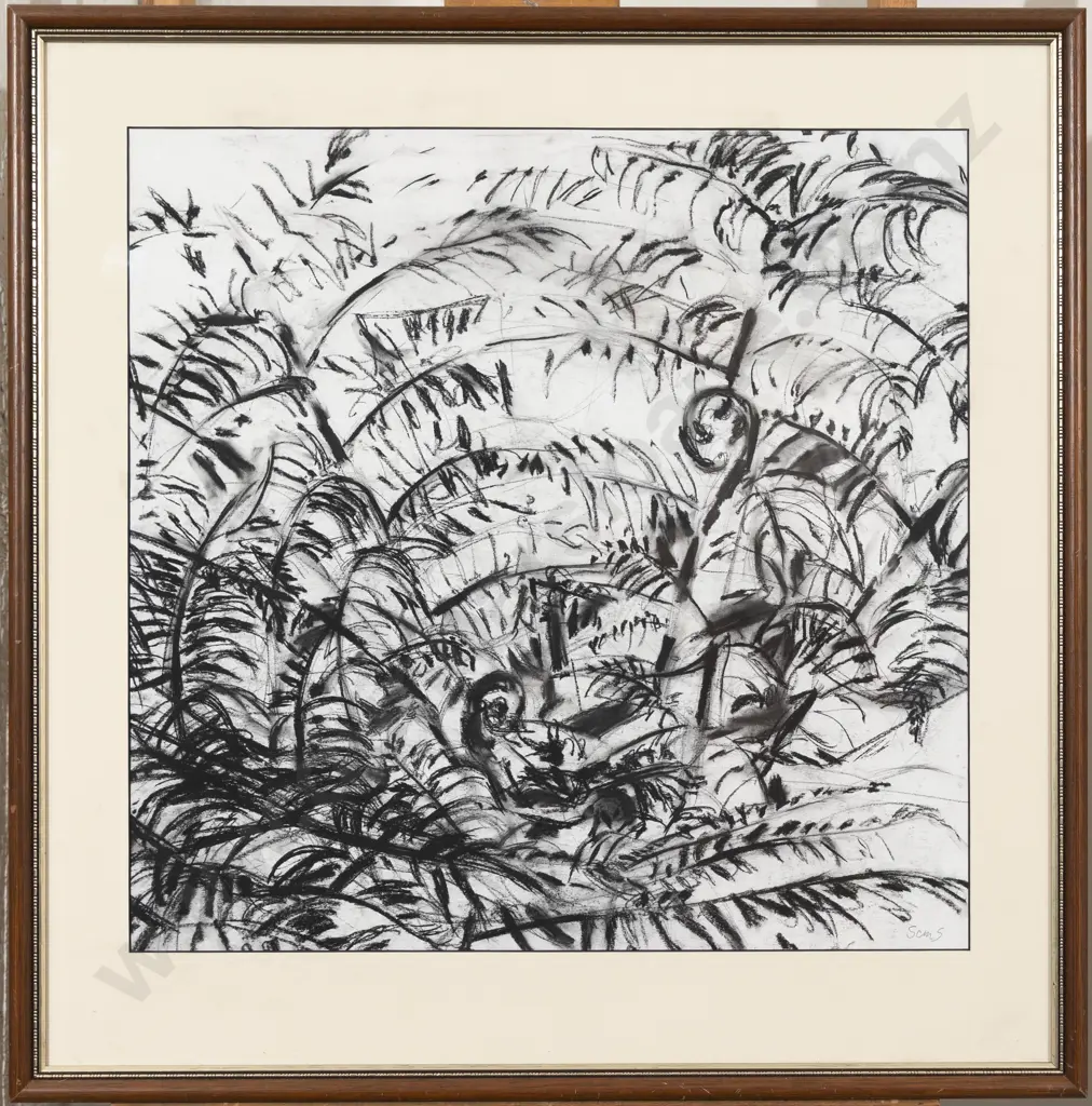 Susan Skerman - Ferns Image 1++