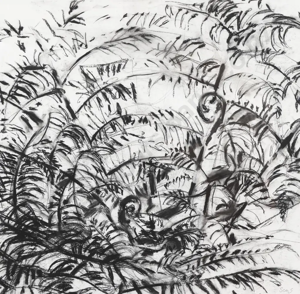 Susan Skerman - Ferns Image 1++