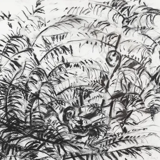 Susan Skerman - Ferns