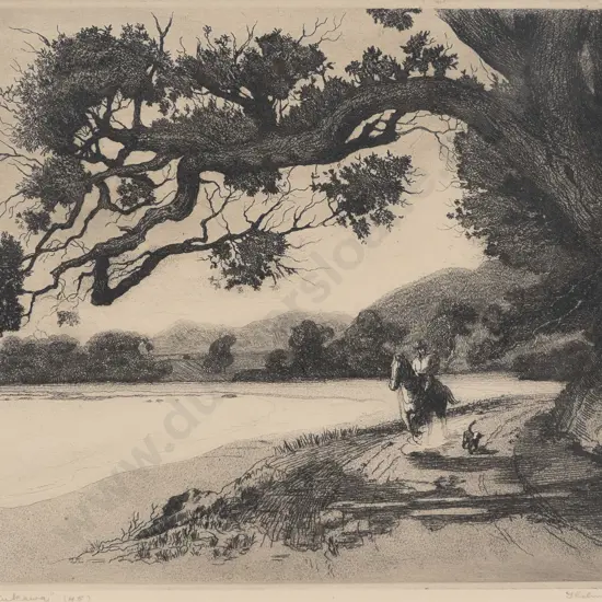 Thelma Moxon(?) - Pohutakawa