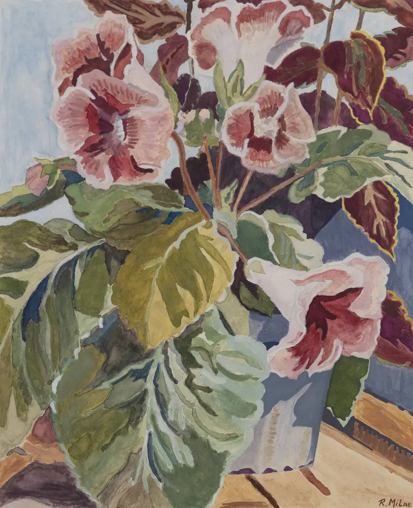 R Milne - Streptocarpus Image 1++
