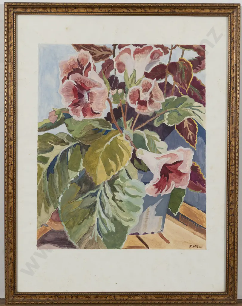 R Milne - Streptocarpus Image 1++