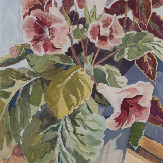 R Milne - Streptocarpus