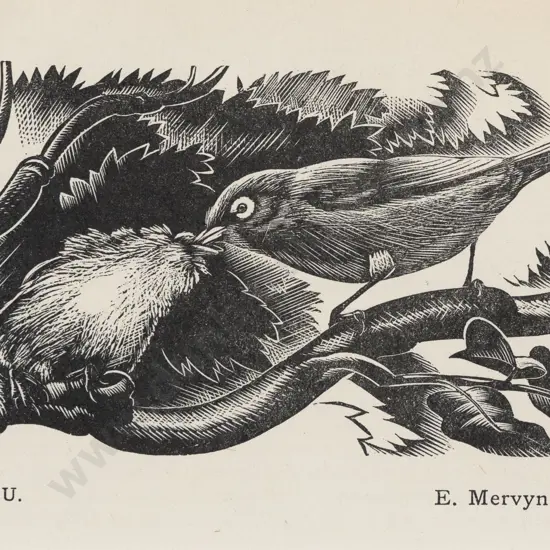 E Mervyn Taylor (1906 - 1964) - Tauhoe