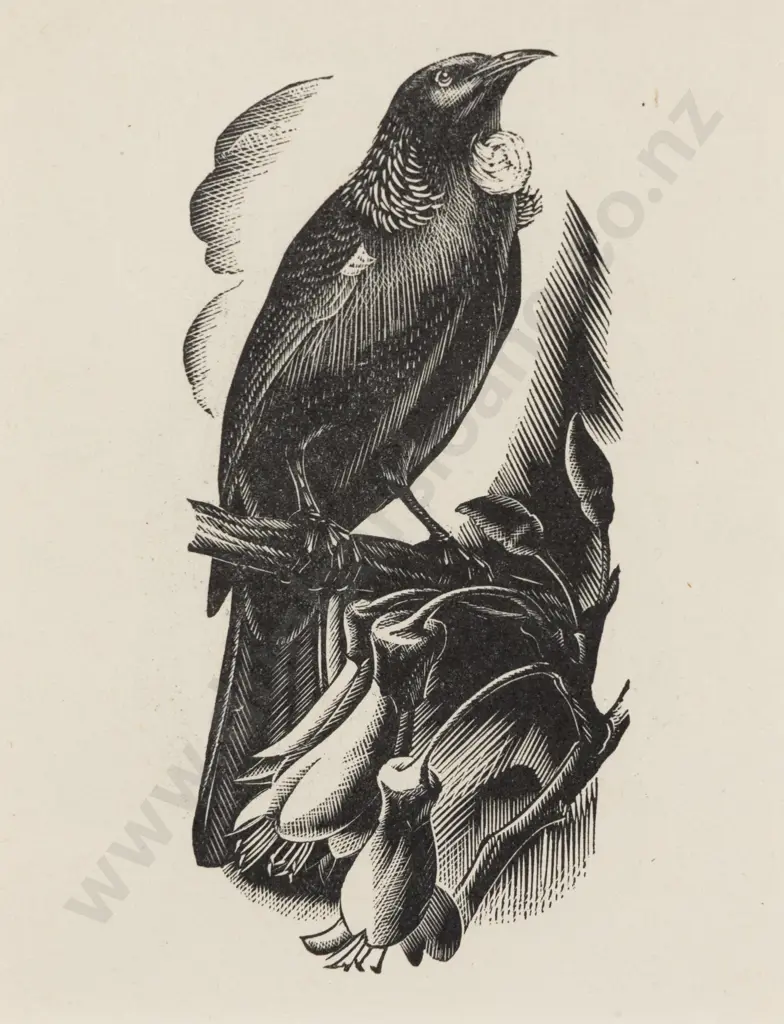 E Mervyn Taylor (1906 - 1964) - Tui Image 1++