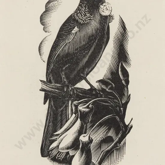 E Mervyn Taylor (1906 - 1964) - Tui