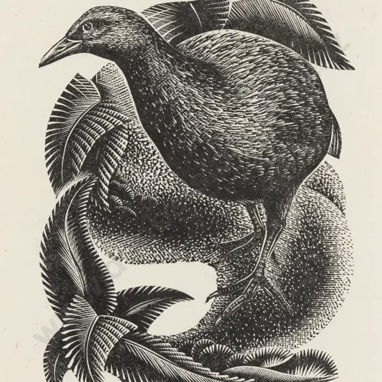 E Mervyn Taylor (1906 - 1964) - Weka