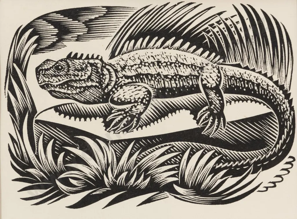 E Mervyn Taylor (1906 - 1964) - Tuatara Image 1++