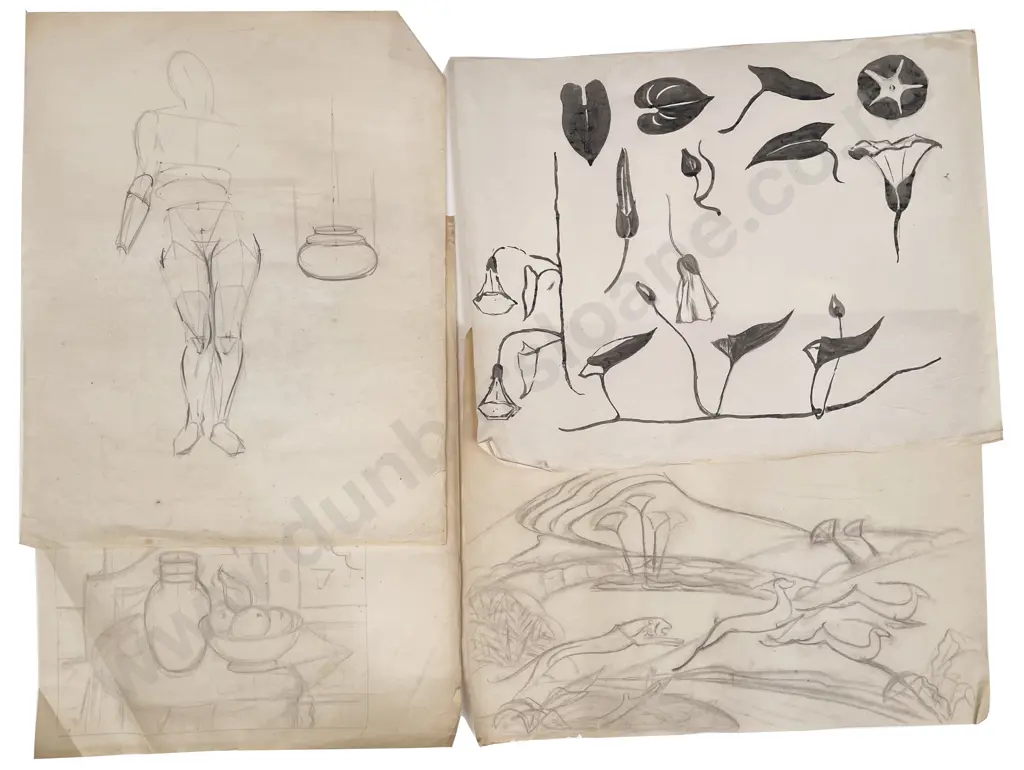 John Weeks (1888 - 1965) - Nine Botanical Image 1++