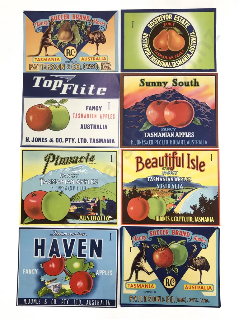 Fifteen Assorted Vintage Tasmanian Fruit Box Labels Image 1++
