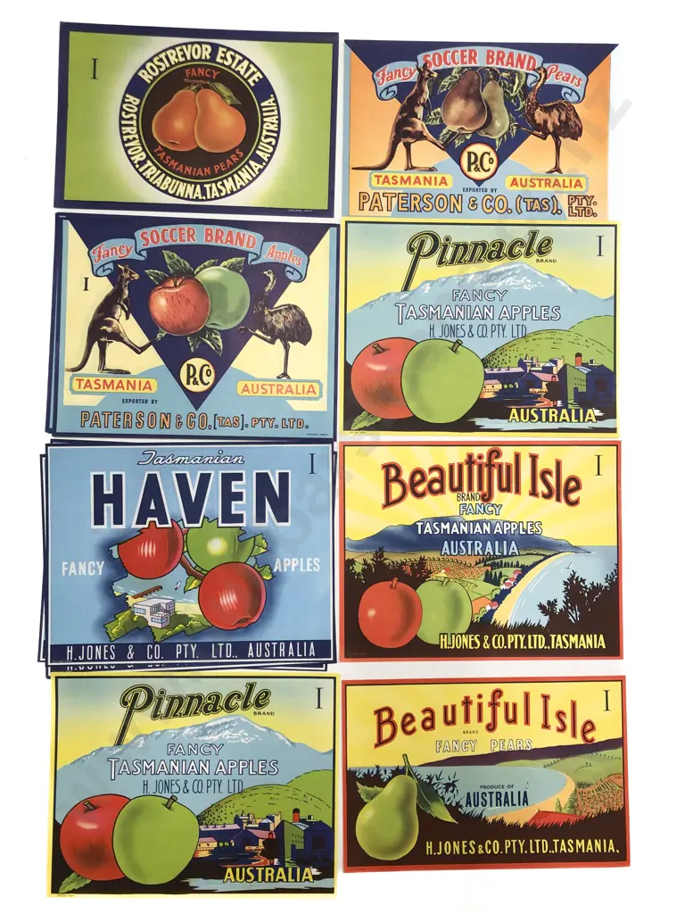 Fifteen Assorted Vintage Tasmanian Fruit Box Labels Image 1++