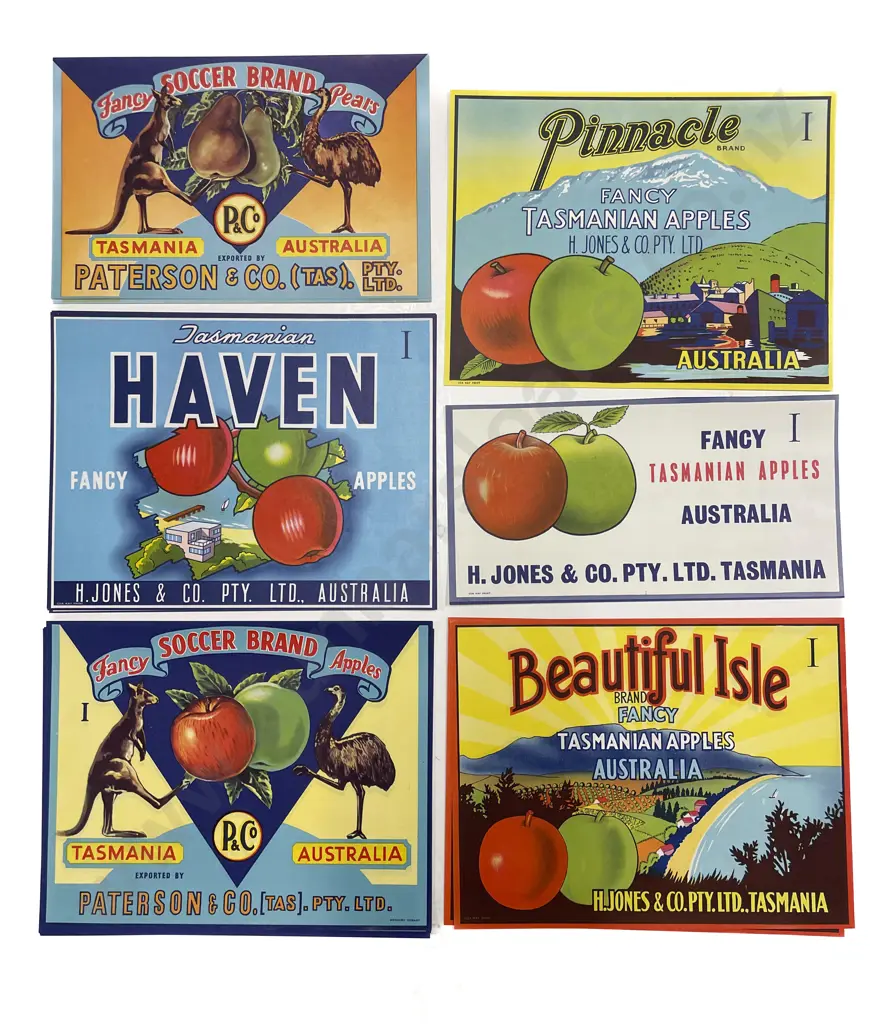Fifteen Assorted Vintage Tasmanian Fruit Box Labels Image 1++