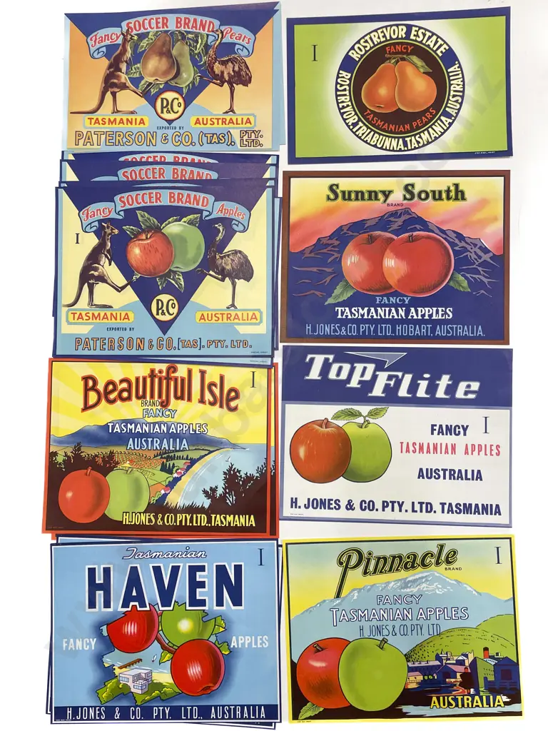 Fifteen Assorted Vintage Tasmanian Fruit Box Labels Image 1++