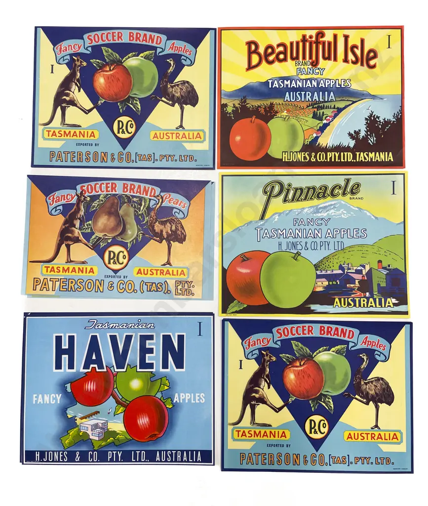 Fifteen Assorted Vintage Tasmanian Fruit Box Labels Image 1++