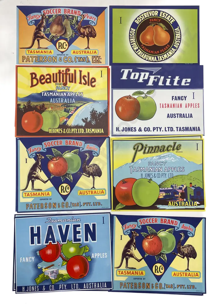 Fifteen Assorted Vintage Tasmanian Fruit Box Labels Image 1++