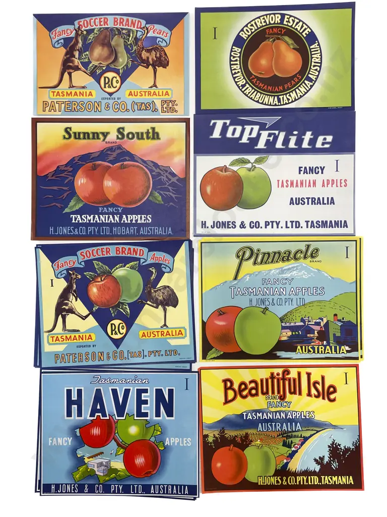 Fifteen Assorted Vintage Tasmanian Fruit Box Labels Image 1++