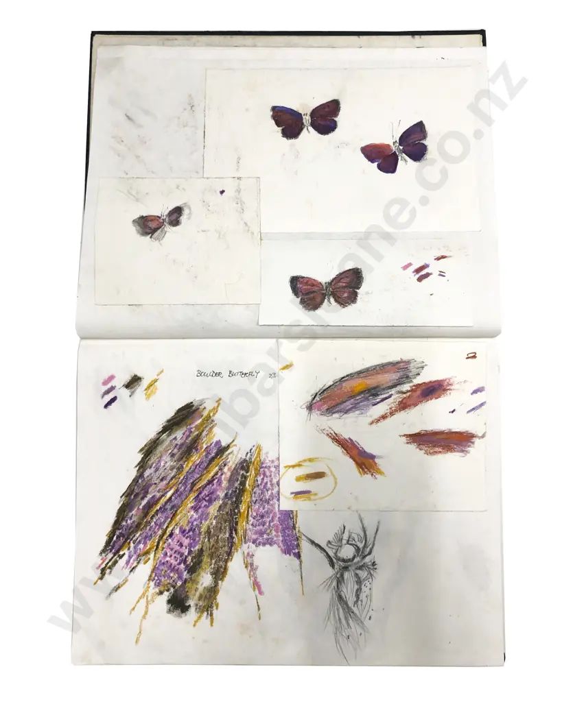 Susan Skerman Large Sketchbook Image 1++