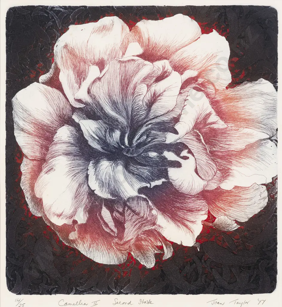 Joan Taylor - Camellia II Second State Image 1++
