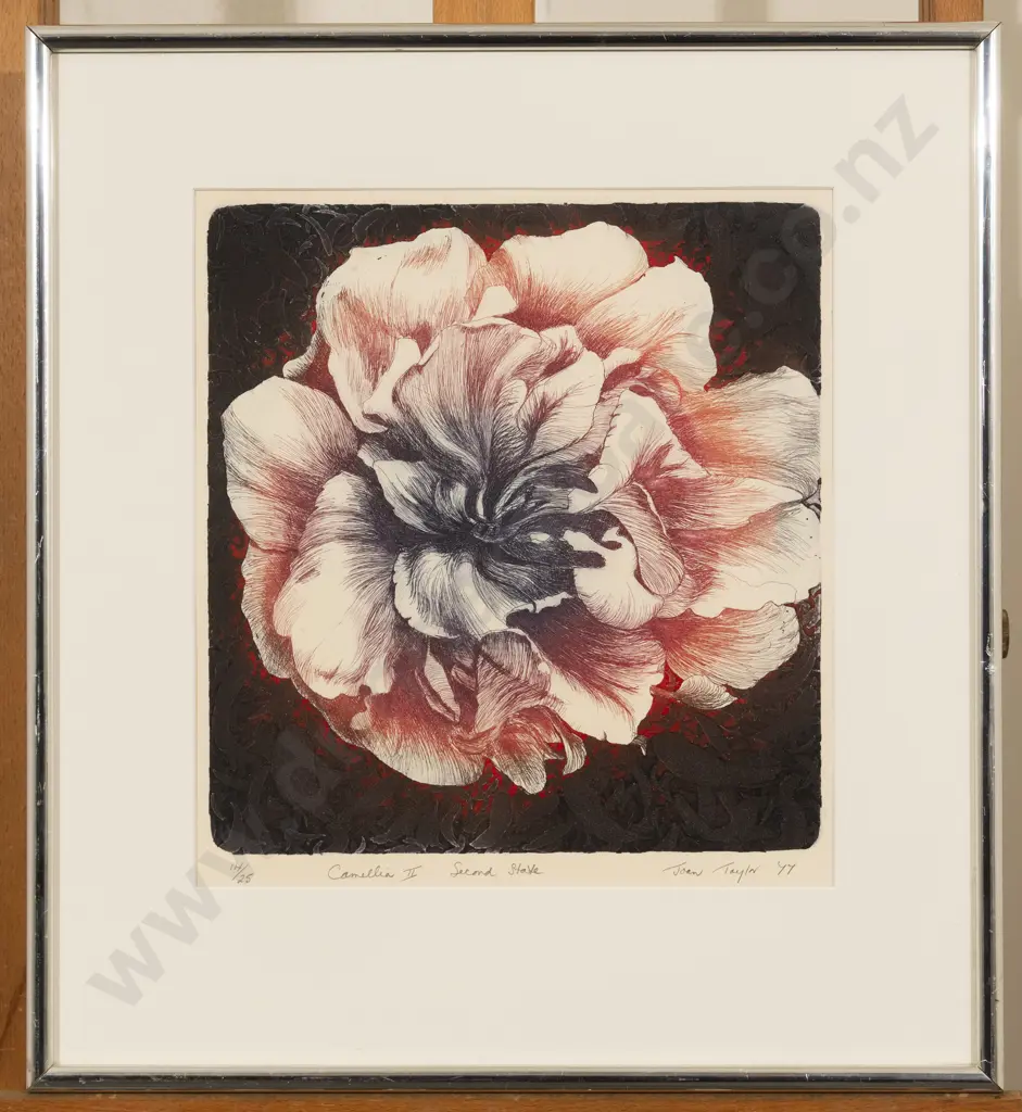 Joan Taylor - Camellia II Second State Image 1++