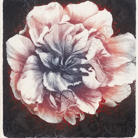 Joan Taylor - Camellia II Second State