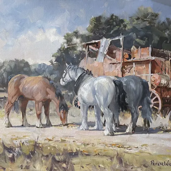 Peter Williams - Tietjen's Mill Bushmere Gisborne