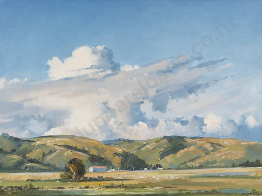 Noel Wilson - Storm Clouds Morrison Bush Image 1++