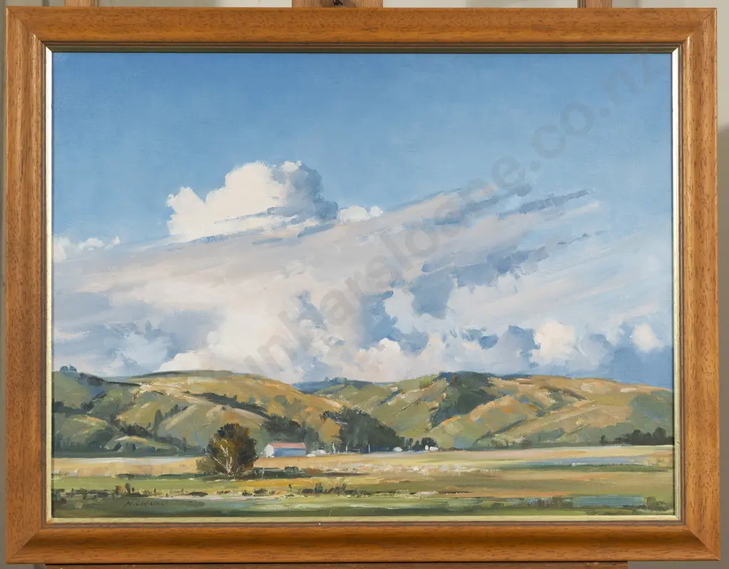 Noel Wilson - Storm Clouds Morrison Bush Image 1++