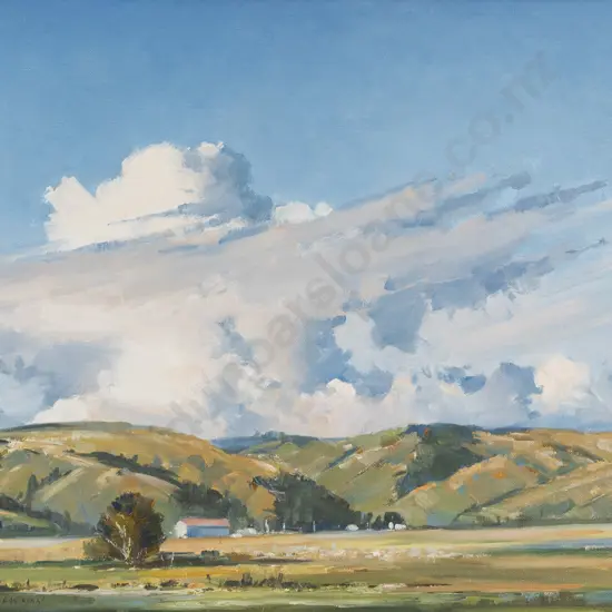 Noel Wilson - Storm Clouds Morrison Bush