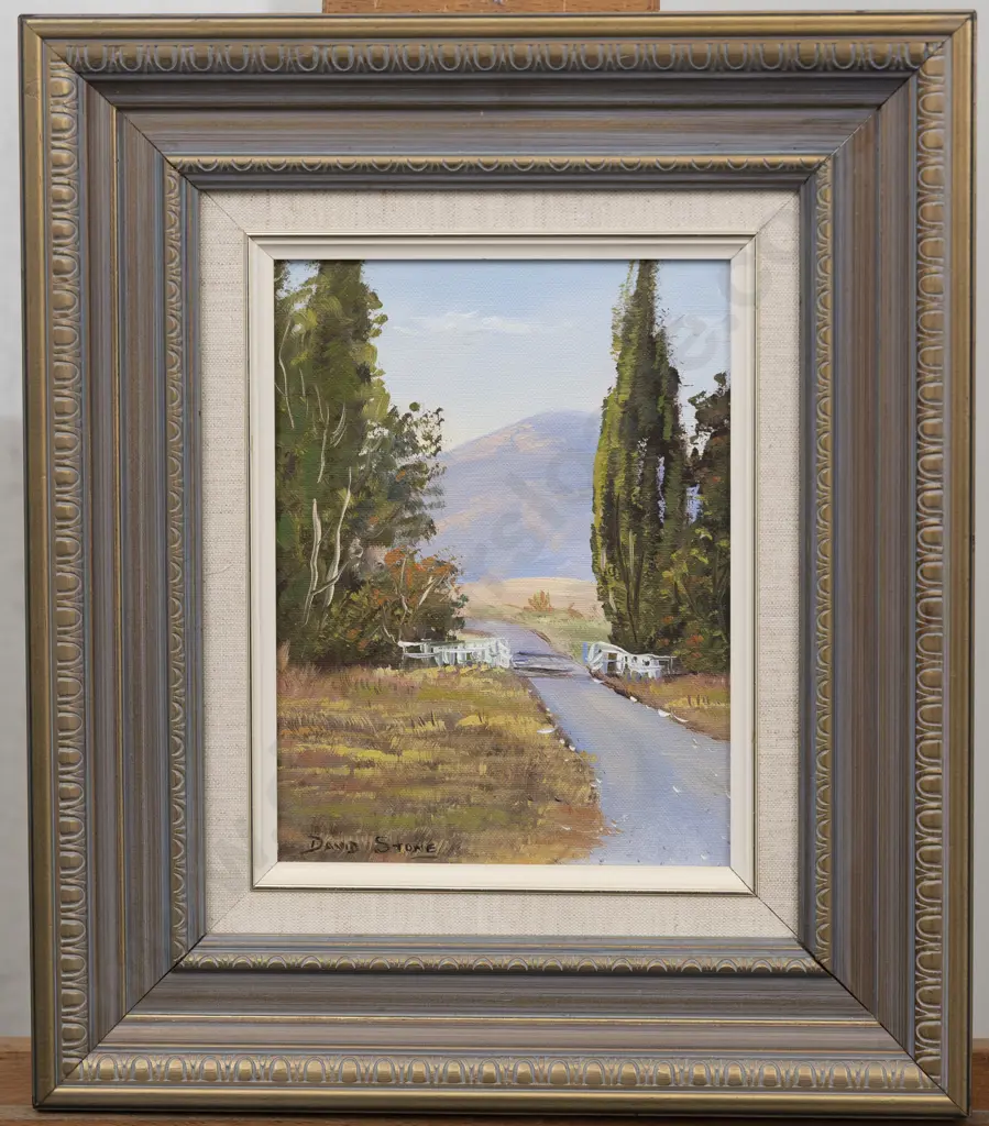David Stone - Bridge Near Patangata Image 1++