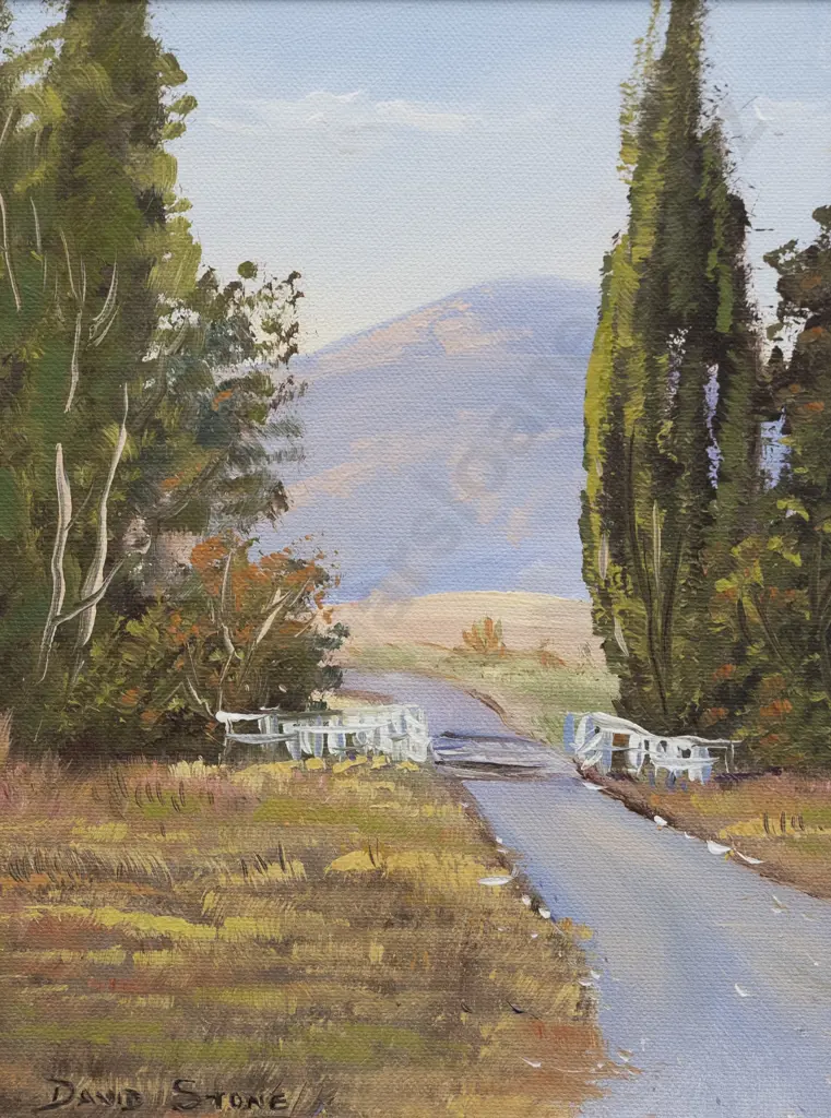 David Stone - Bridge Near Patangata Image 1++